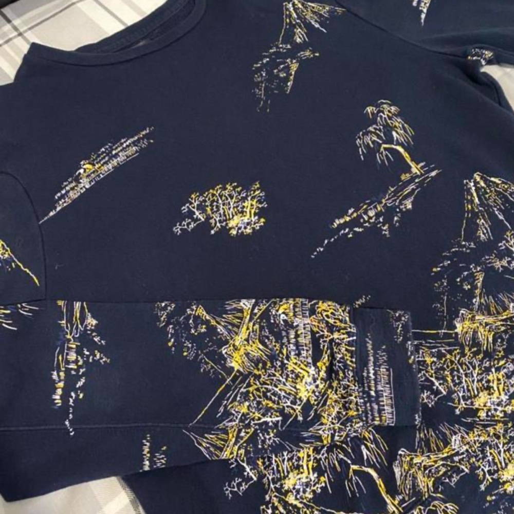 Zara Man Men’s Sweatshirt Mountain Scene Novelty Print in Navy Yellow size M